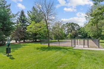 Dog park
